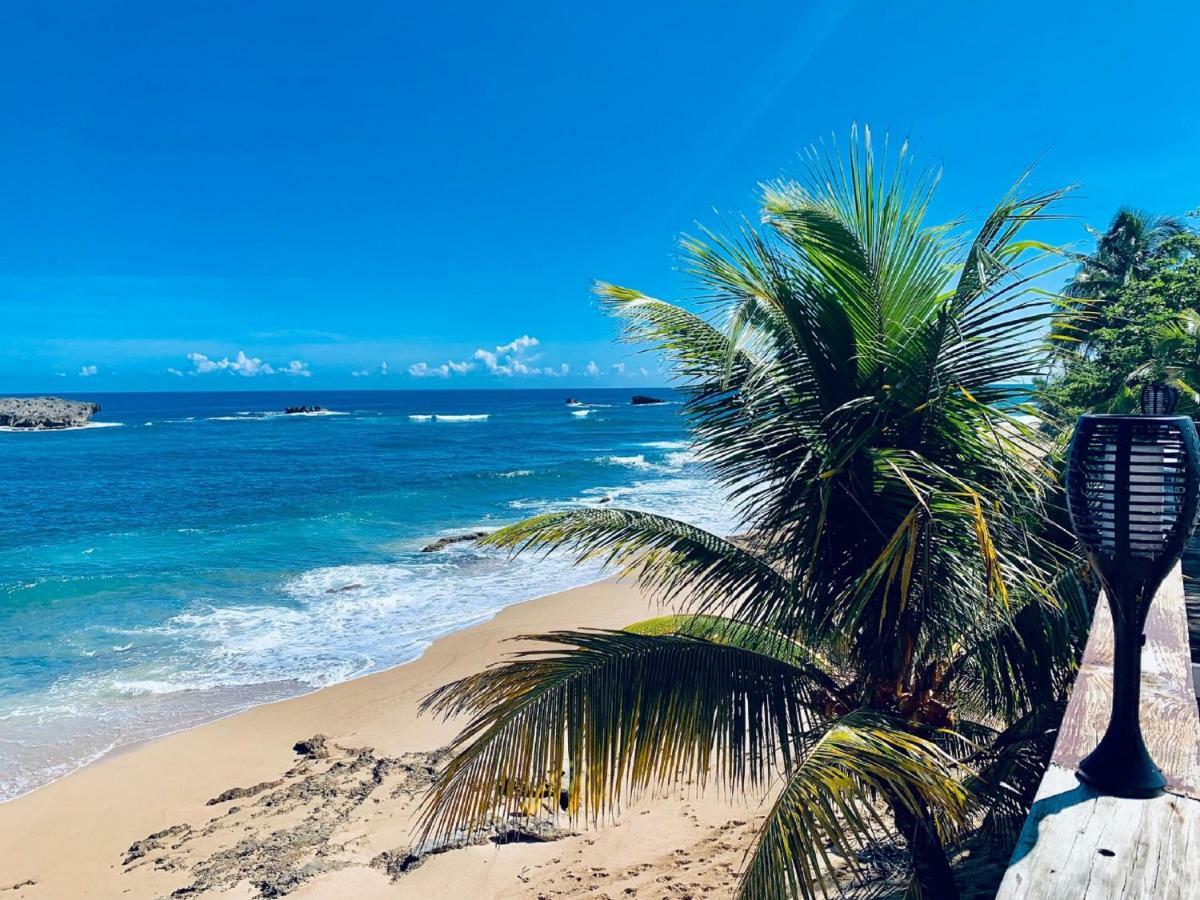 דירות Islote Ventana Al Atlantico At Arecibo 681 Ocean Drive מראה חיצוני תמונה